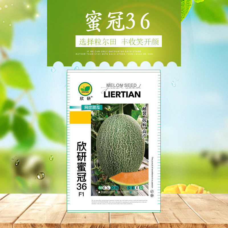 欣研蜜冠36哈密瓜种子果肉甜脆春秋大棚温室种植