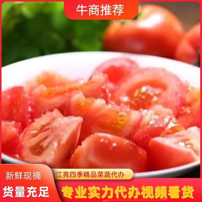 【西红柿】产地直供一手货源品质保障商超品质真实报价