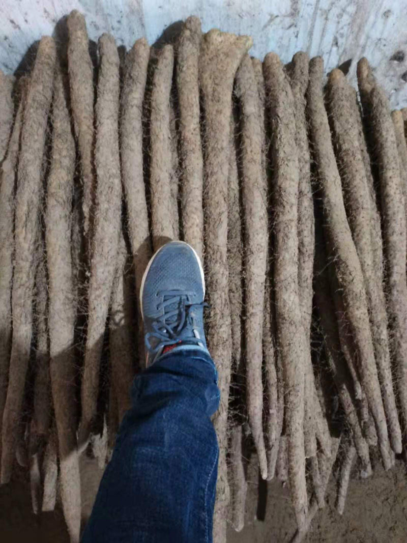 【推荐】河北小白嘴山药产地直发现货价优保质