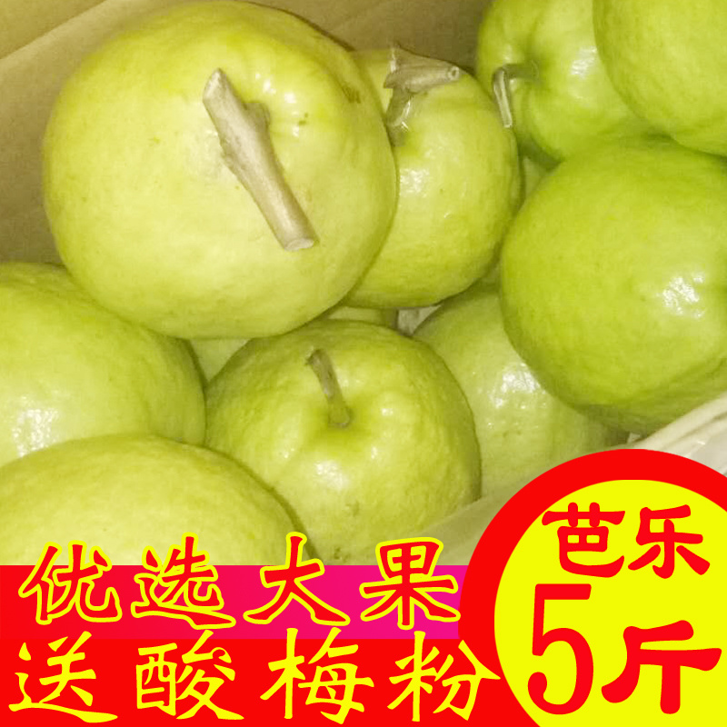 现摘现发白心番石榴9斤当季芭乐新鲜水果应季包邮