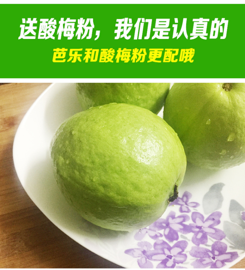 现摘现发白心番石榴9斤当季芭乐新鲜水果应季包邮