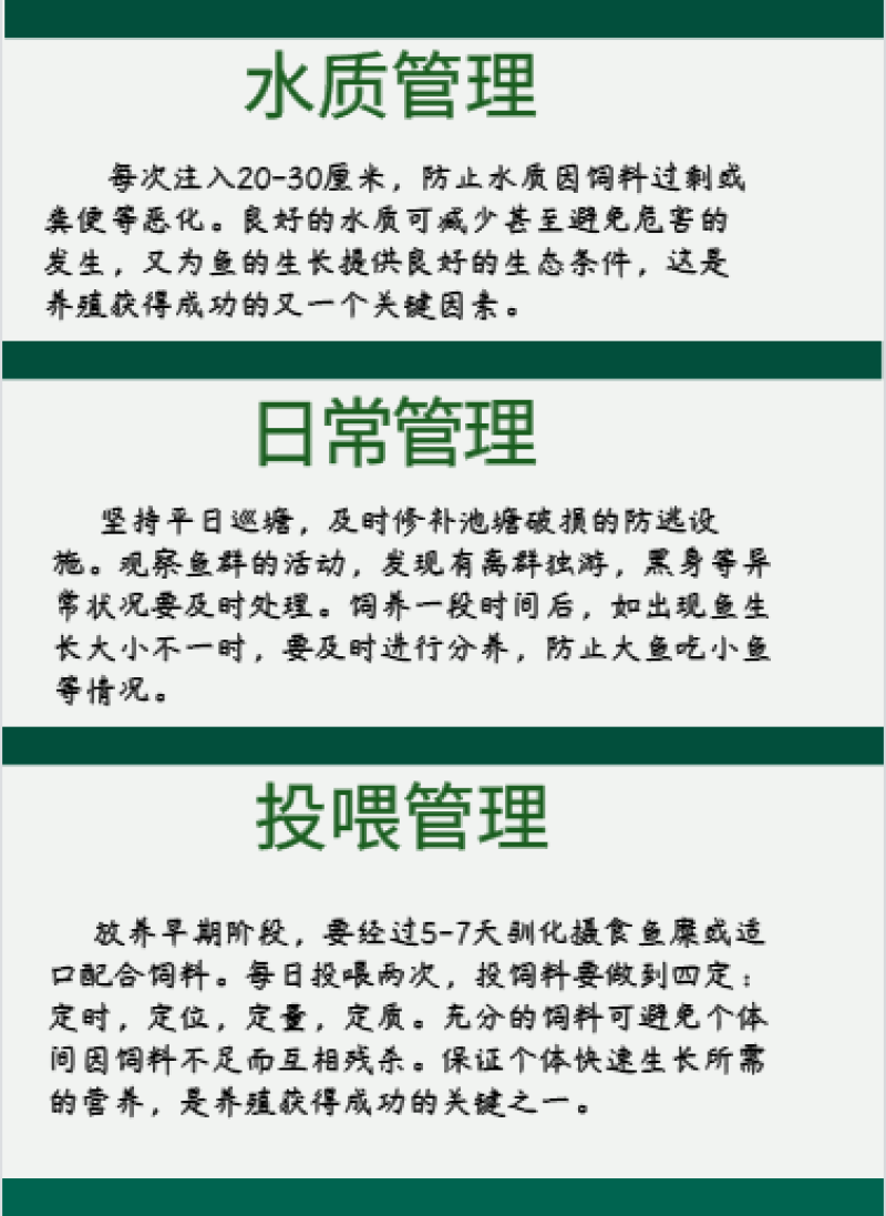 黄骨鱼苗6-7公分优质现货高质量低价格