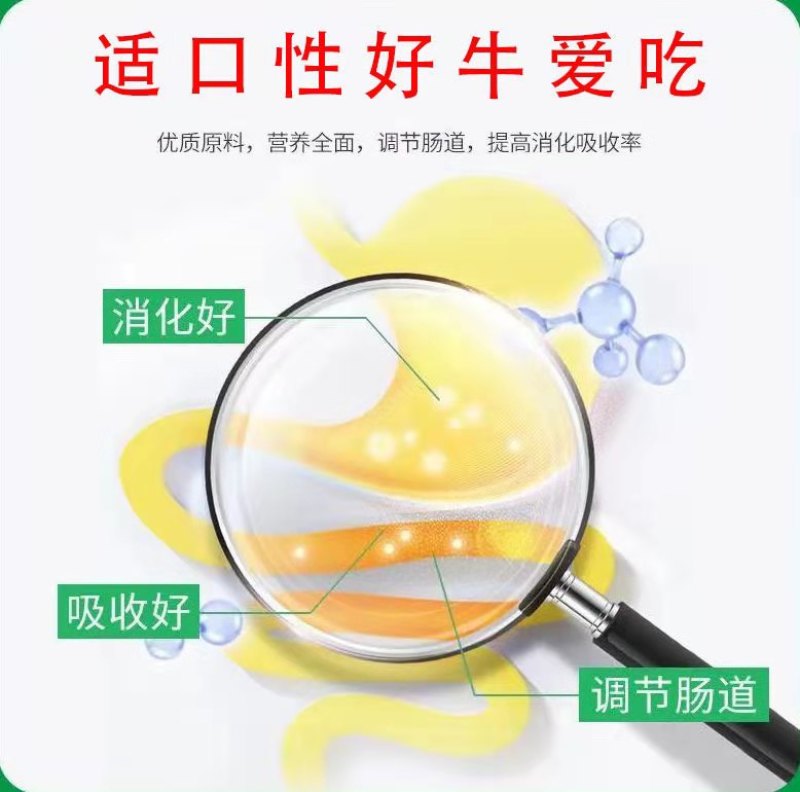 奶牛预混料饲料提高产奶量黑白花荷斯坦奶牛娟珊牛爱尔夏牛更