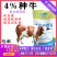 繁殖母牛饲料种牛预混料种牛黄牛孕期哺乳期发情配种提高成活