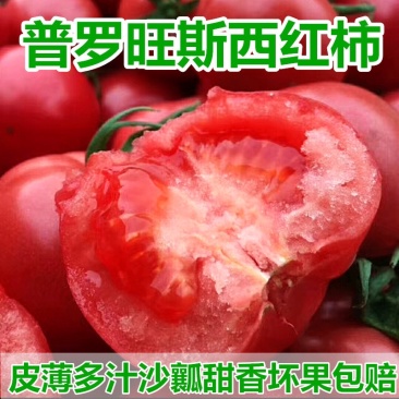 海阳西红柿，黄筋西红柿海阳番茄🍅普罗旺斯西红柿安特来斯