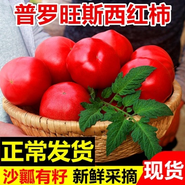 水果沙瓤普罗旺斯西红柿新鲜蔬菜助农大番茄