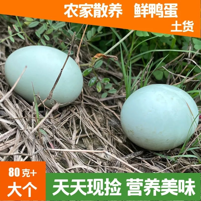 鸭蛋]、白皮鸭蛋，双黄大鸭蛋，小蛋，菜蛋，经文蛋