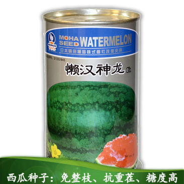 中科茂华懒汉甜王西瓜种子圆形甜红瓤薄皮