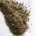 蛇鞭菊种子春秋播种观花种子多年生景观绿化花籽切花