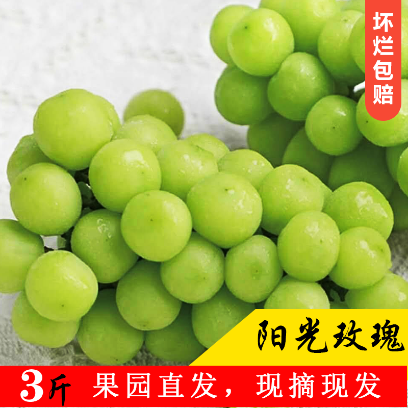 葡萄新鲜水果葡萄阳光玫瑰葡萄无籽葡萄甜葡萄青提葡萄空运发