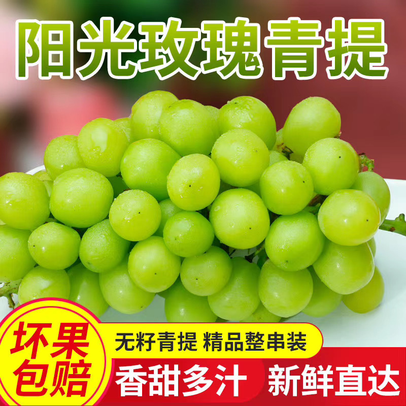 葡萄新鲜水果葡萄阳光玫瑰葡萄无籽葡萄甜葡萄青提葡萄空运发