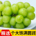 葡萄新鲜水果葡萄阳光玫瑰葡萄无籽葡萄甜葡萄青提葡萄空运发