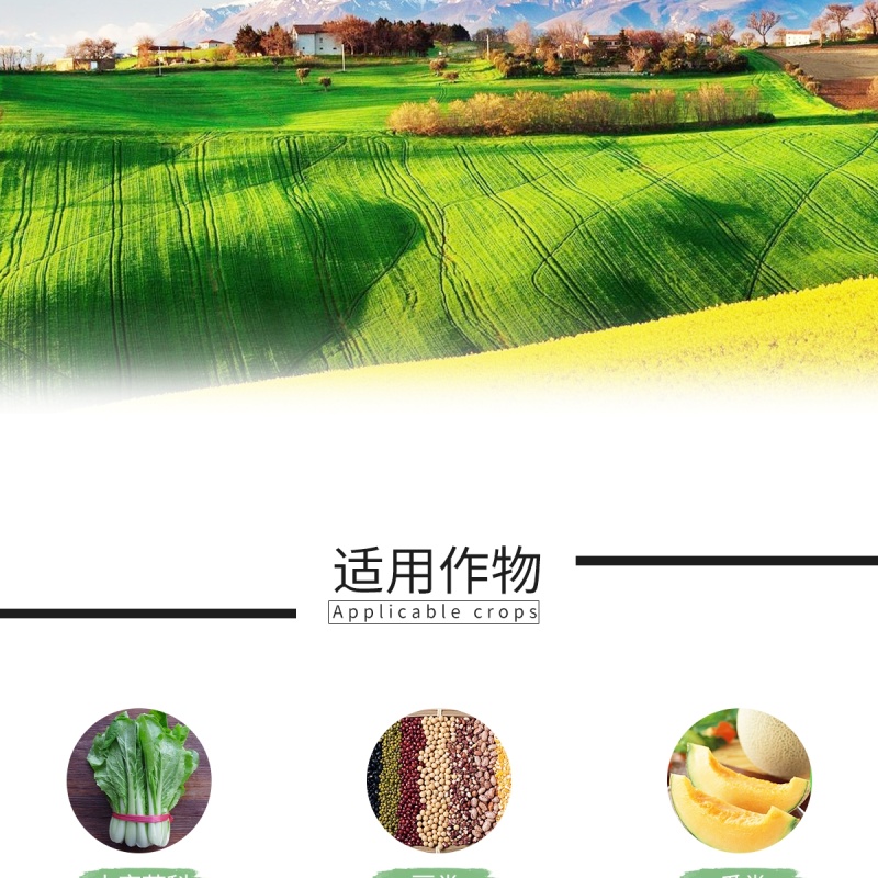 35%虫螨腈啶虫脒跳甲专用药蔬菜杀虫药青虫蓟马杀虫剂