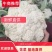精品有机花菜，大量上市，代发全国，欢迎采购