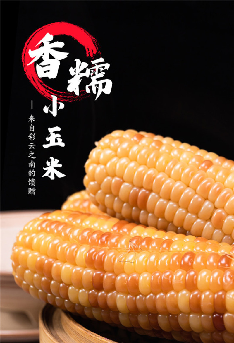 产地直发包邮～云南香糯小玉米西双版纳品种甜糯玉米真空包装