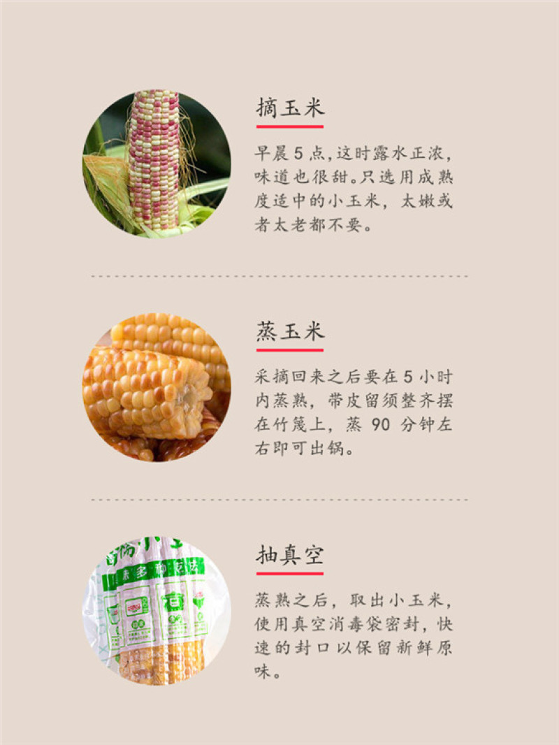 产地直发包邮～云南香糯小玉米西双版纳品种甜糯玉米真空包装
