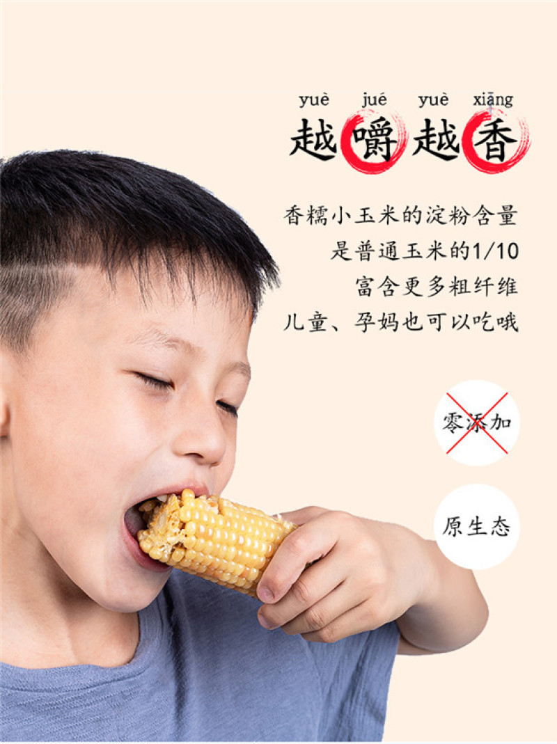 产地直发包邮～云南香糯小玉米西双版纳品种甜糯玉米真空包装