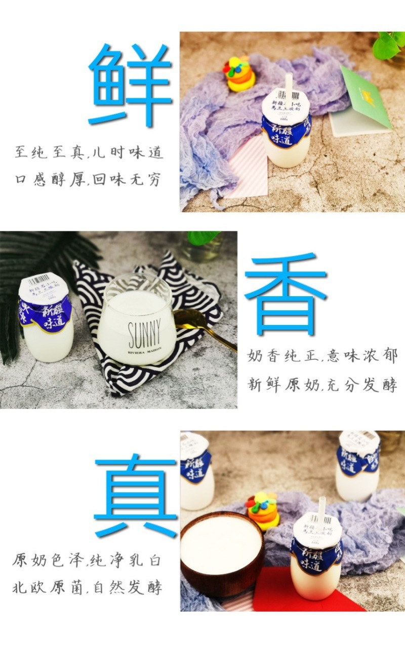包邮新疆马三三原味酸奶，0添加酸牛奶