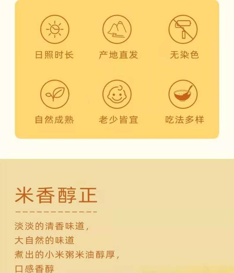 山西高平特产黄小米500g*2袋，晋宝绿珍袋装2022年
