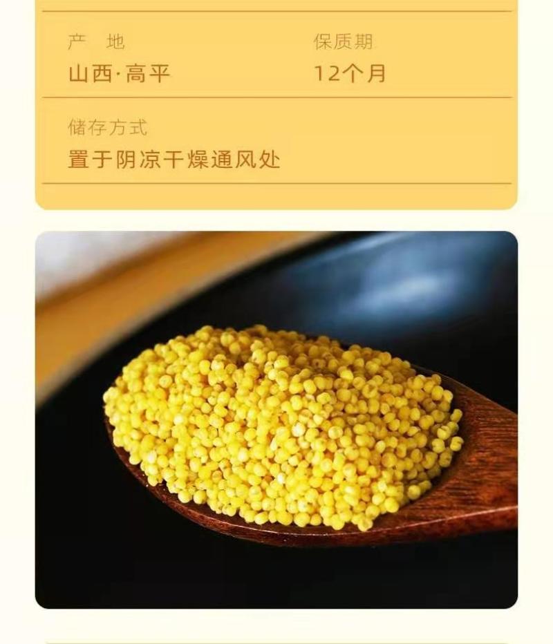 山西高平特产黄小米500g*2袋，晋宝绿珍袋装2022年