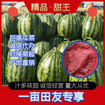 山东青州甜王西瓜大量上市,个大皮薄,产地直销,欢迎选购