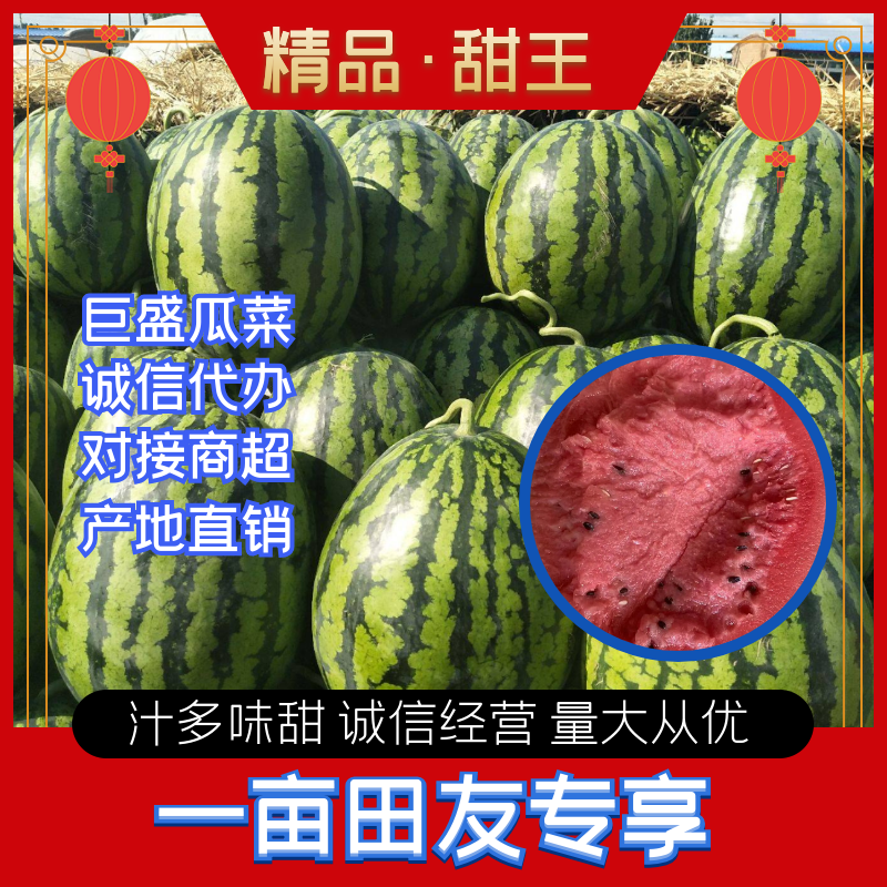 山东青州甜王西瓜大量上市，个大皮薄，产地直销，欢迎选购