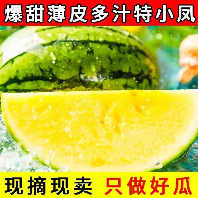 东台优质富硒特小凤黄瓤薄皮现摘西瓜新鲜水果多汁多汁甜美