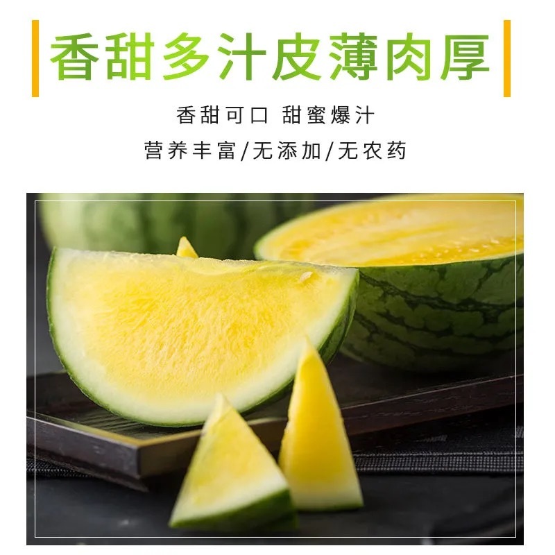 东台优质富硒特小凤黄瓤薄皮现摘西瓜新鲜水果多汁多汁甜美