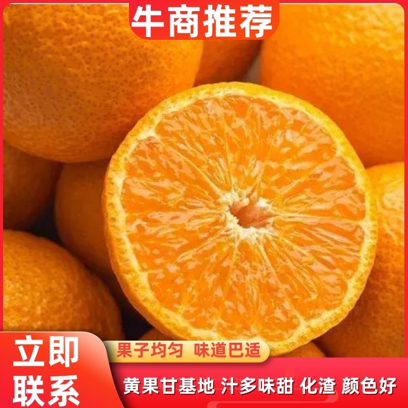 黄果柑汉源县石棉县黄果甘基地诚信代办汁多味甜化渣，颜色好