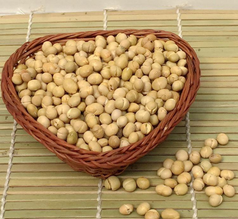 炒黄豆，精品炒黄豆，厂家直发，保质保量，可发全国