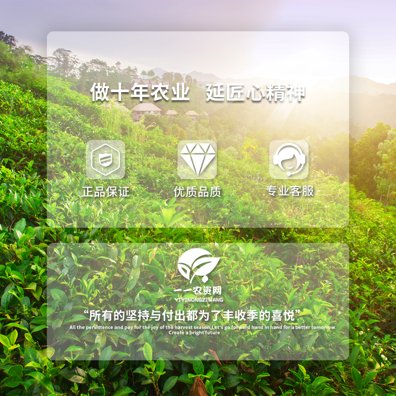 正业细治氨基寡糖寡素乙蒜素蔬菜枯萎病溃疡病高效专用农药