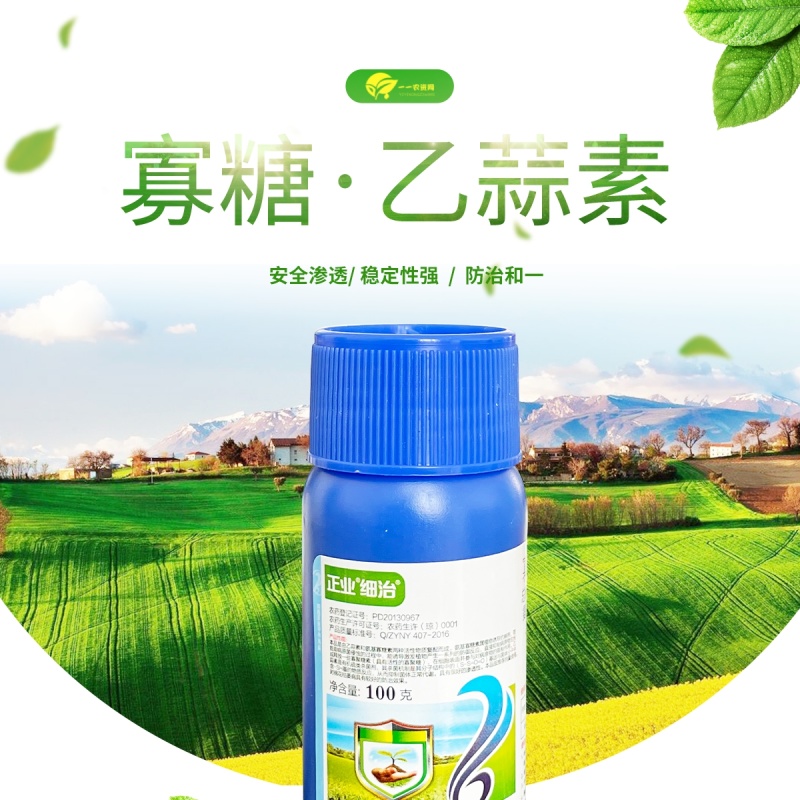 正业细治氨基寡糖寡素乙蒜素蔬菜枯萎病溃疡病高效专用农药