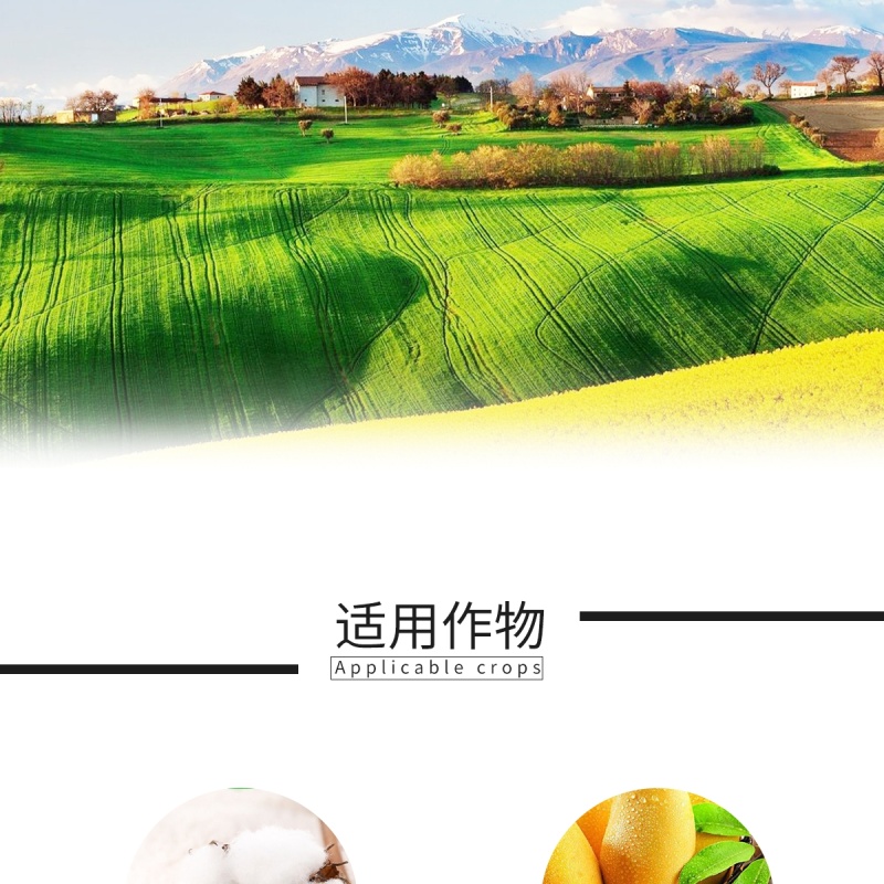 正业细治氨基寡糖寡素乙蒜素蔬菜枯萎病溃疡病高效专用农药