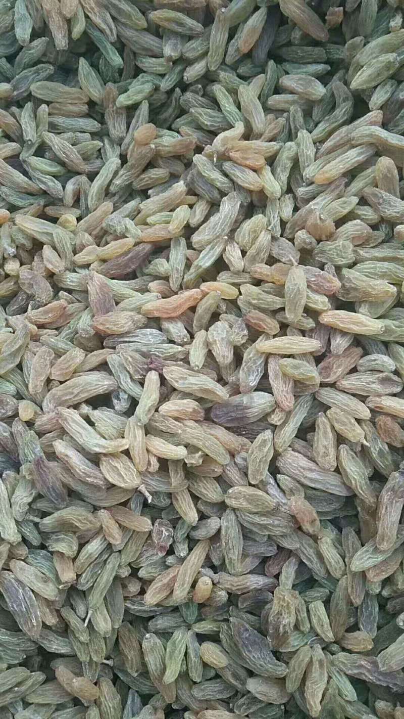 新疆特产葡萄干无杂质货源充足支持视频看货