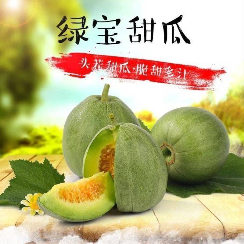 绿宝甜瓜，十万亩甜瓜基地马上上市欢迎全国客商来电考察
