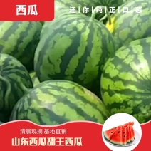 甜王西瓜大量上市10斤打底8成熟1茬