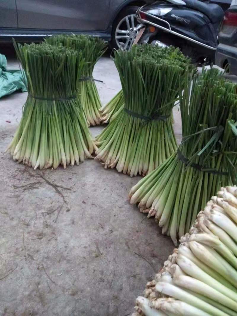 香茅草，够粗够绿A级货，价格实惠东南亚料理食材可看货