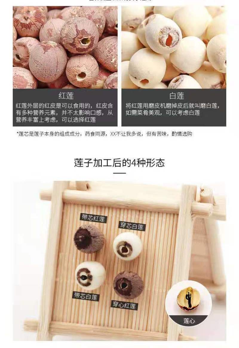 白莲子无硫磨皮去芯莲子品种齐价格实惠可一件代发