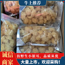 仿野生小银耳，品质从优，炖银耳羹美容养颜，欢迎采购！
