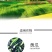 联卫33.5%喹啉铜柑橘西瓜果树瓜豆细菌角斑病霜霉病