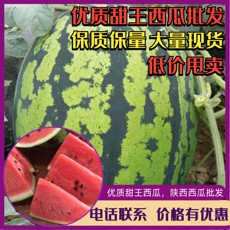 陕西甜王西瓜基地甜王西瓜价格，量大从优，支持线上保障交易