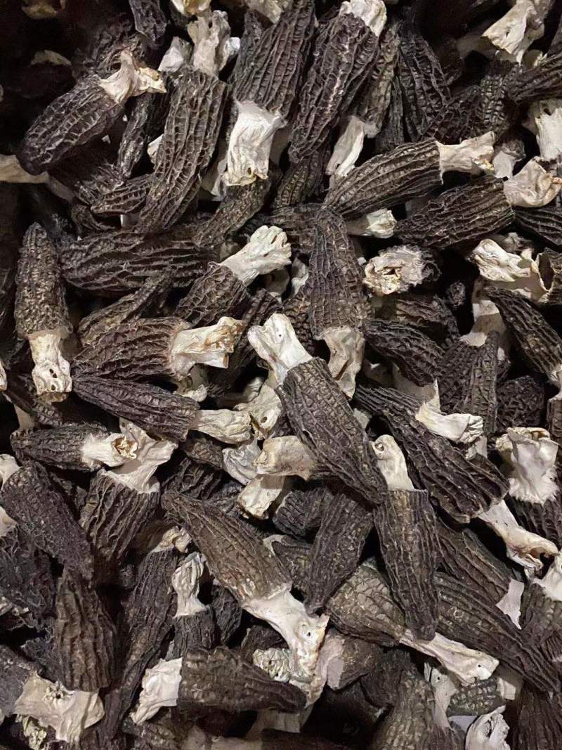 【正宗】羊肚菌优质羊肚菌正宗野生的羊肚菌干足斤足两