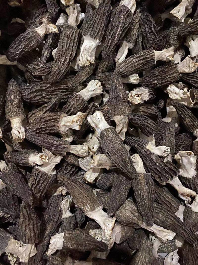 【正宗】羊肚菌优质羊肚菌正宗野生的羊肚菌干足斤足两