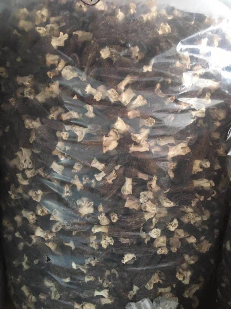 【正宗】羊肚菌优质羊肚菌正宗野生的羊肚菌干足斤足两