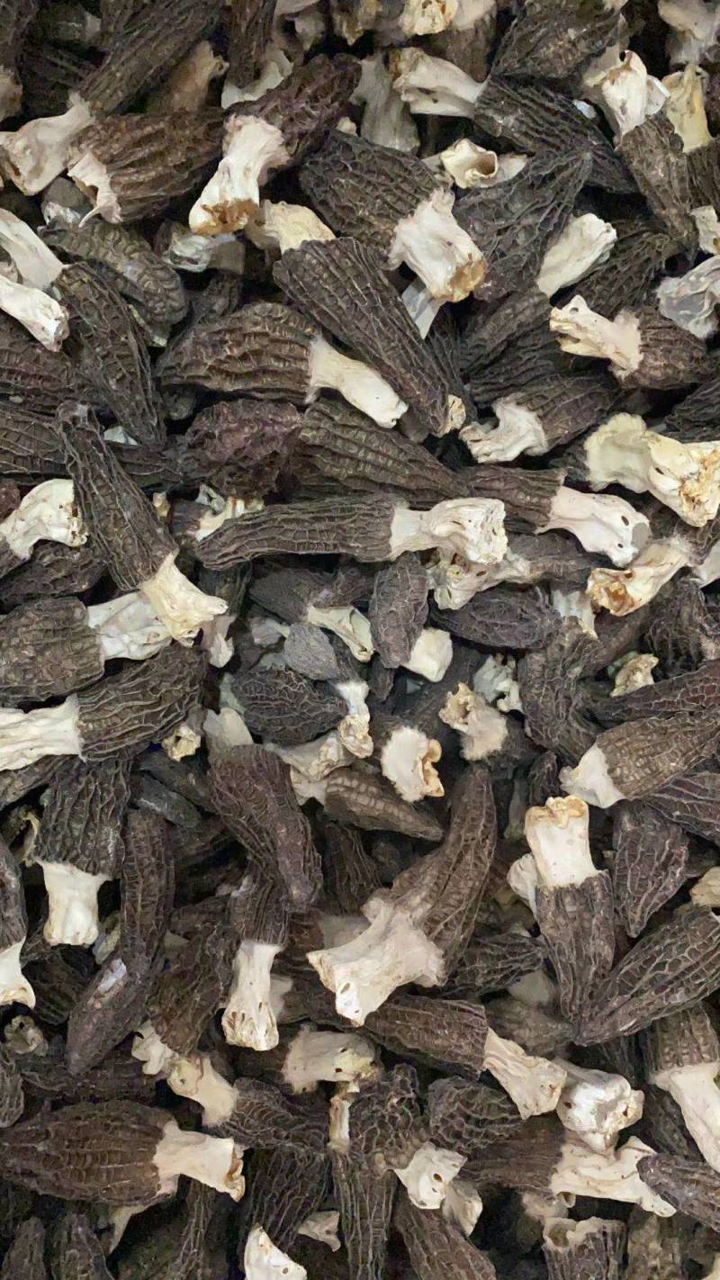 【正宗】羊肚菌优质羊肚菌正宗野生的羊肚菌干足斤足两