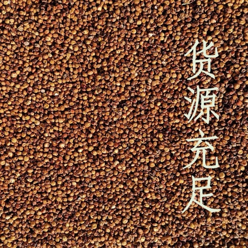 高粱红高粱磨面高粱大颗粒高粱容重760