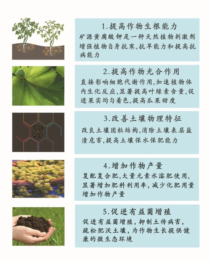 多美时1公斤矿源黄腐酸钾腐殖酸生根调酸碱土壤有机生物刺激