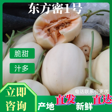 东方蜜1号甜瓜东方密红肉脆梨白皮红肉电话咨询更优惠