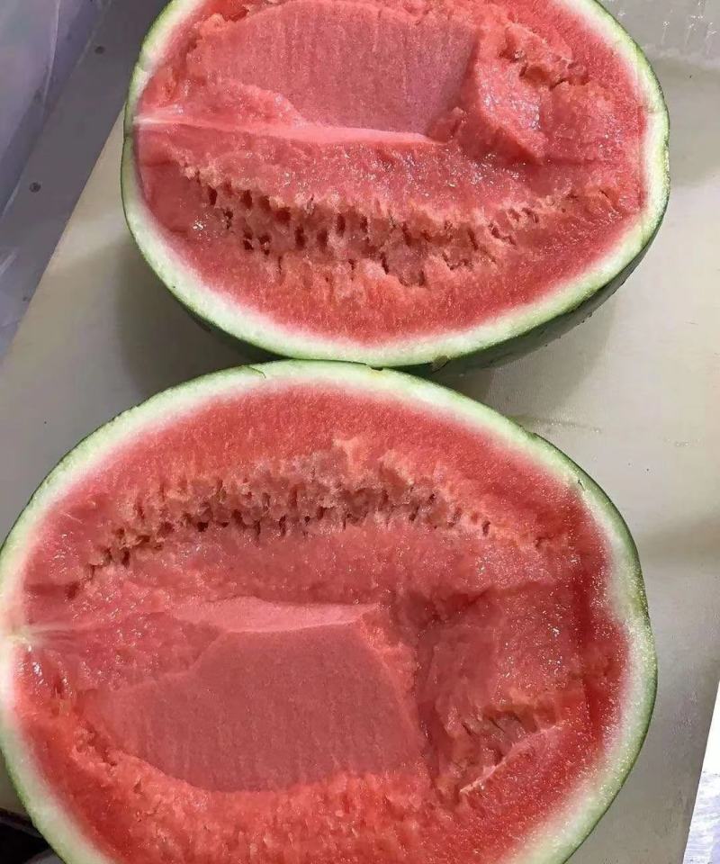 麒麟美都西瓜大量上市包熟包甜产地直供价格便宜