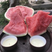 万亩美都西瓜，薄皮无籽多汁包熟包甜大量批发